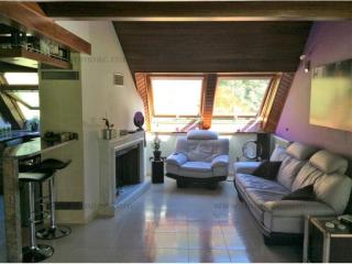 louer Attic La Cortinada Andorre : 148 m2, 2 000 EUR